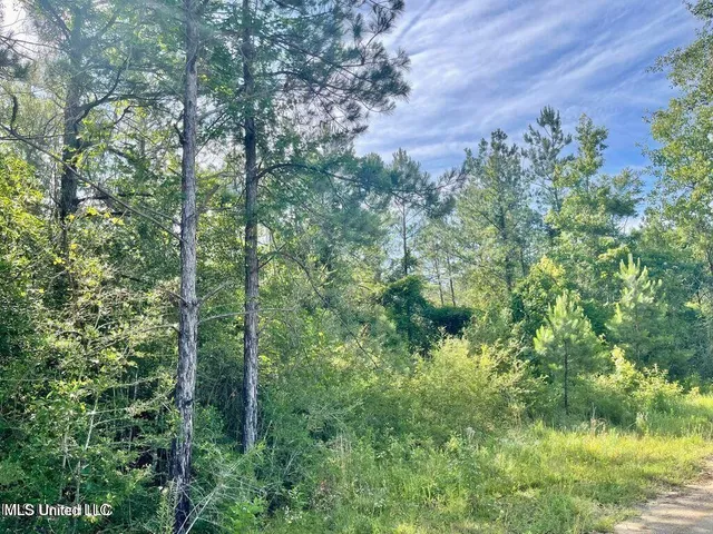 $19,500 | 2-acres Ferrell Lane, Leakesville, MS 39451