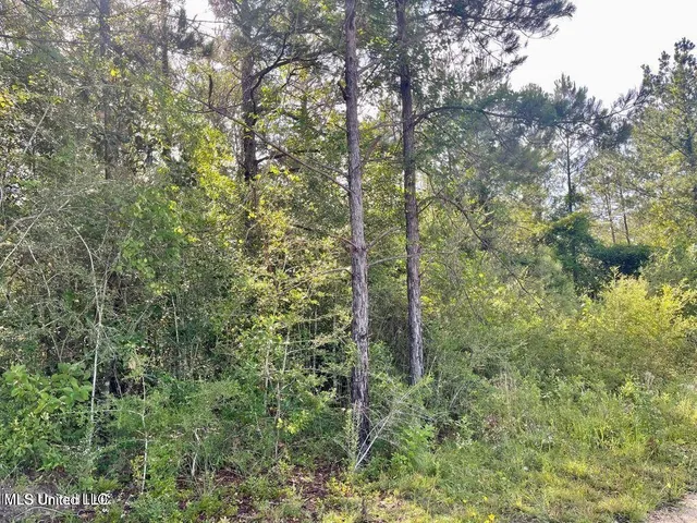 $19,500 | 2-acres Ferrell Lane, Leakesville, MS 39451