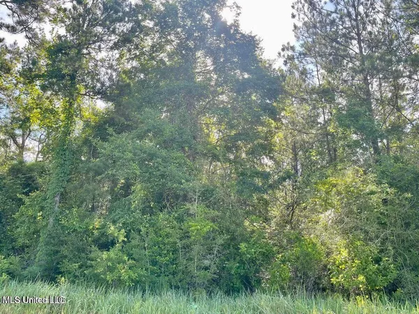 $19,500 | 2-acres Ferrell Lane, Leakesville, MS 39451