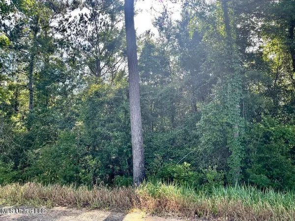 $19,500 | 2-acres Ferrell Lane, Leakesville, MS 39451