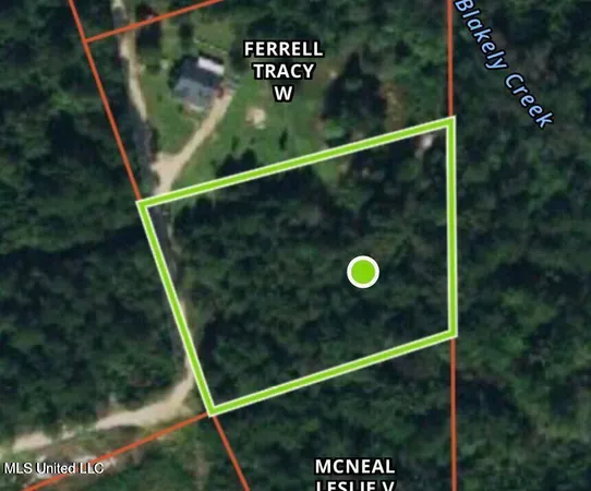 $19,500 | 2-acres Ferrell Lane, Leakesville, MS 39451