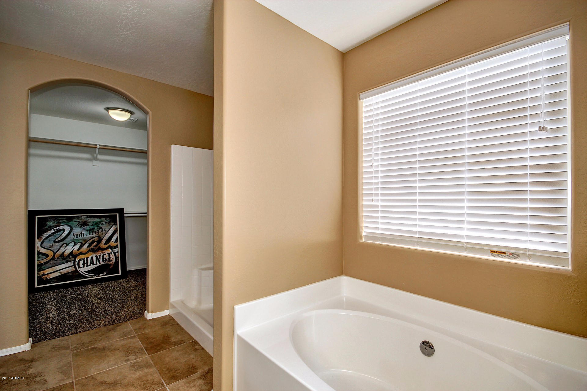 17743 East Brooks Farm Road Gilbert, AZ 85298 - Photo 43 of 69 GUEST HOUSE MASTER TUB
