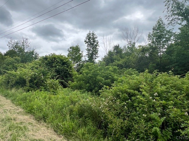 0 Peterboro Road Oneida, NY 13421 - Photo 1 of 1 Gallery Image 1