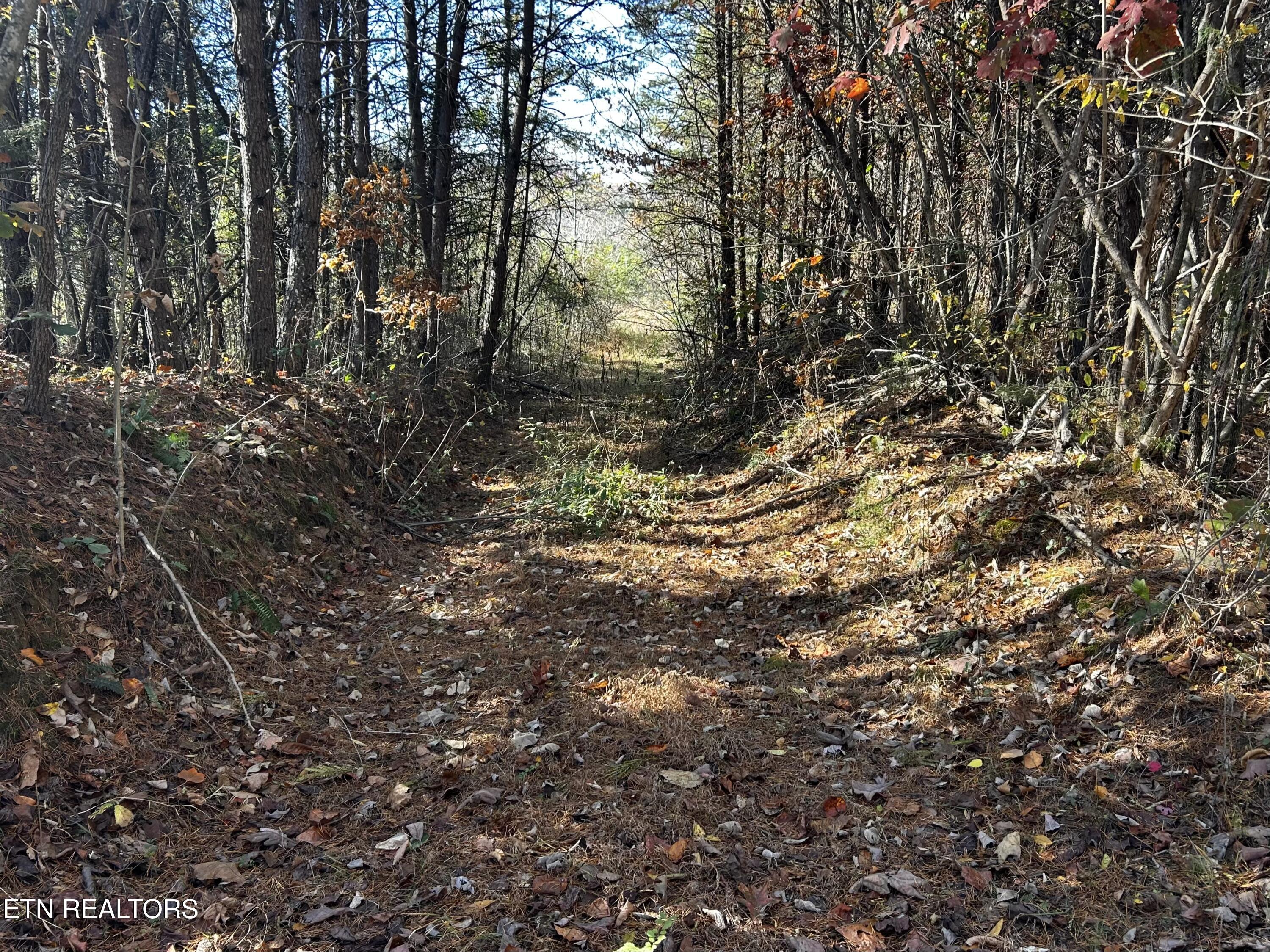 Shaddon Road Tellico Plains, TN 37385 - Photo 1 of 4 IMG_7640