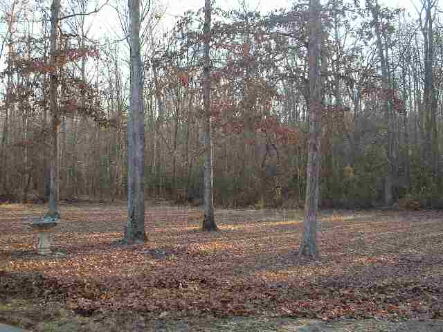 159 Hood-Jordan Road Pelzer, SC 29669 - Photo 9 of 10