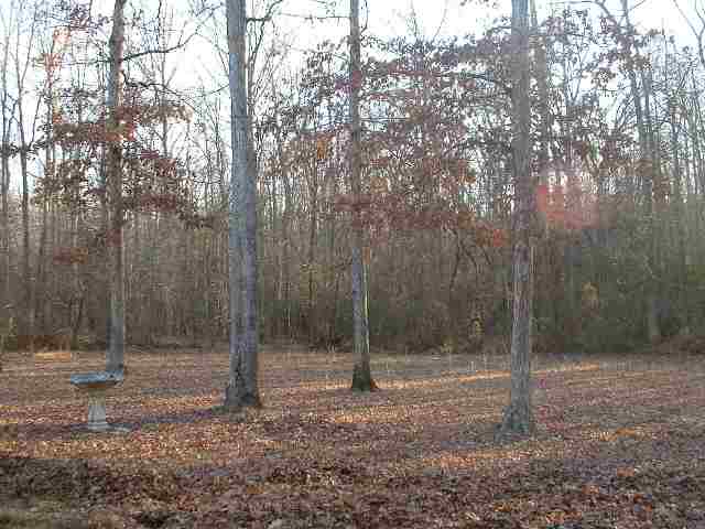 159 Hood-Jordan Road Pelzer, SC 29669 - Photo 10 of 10