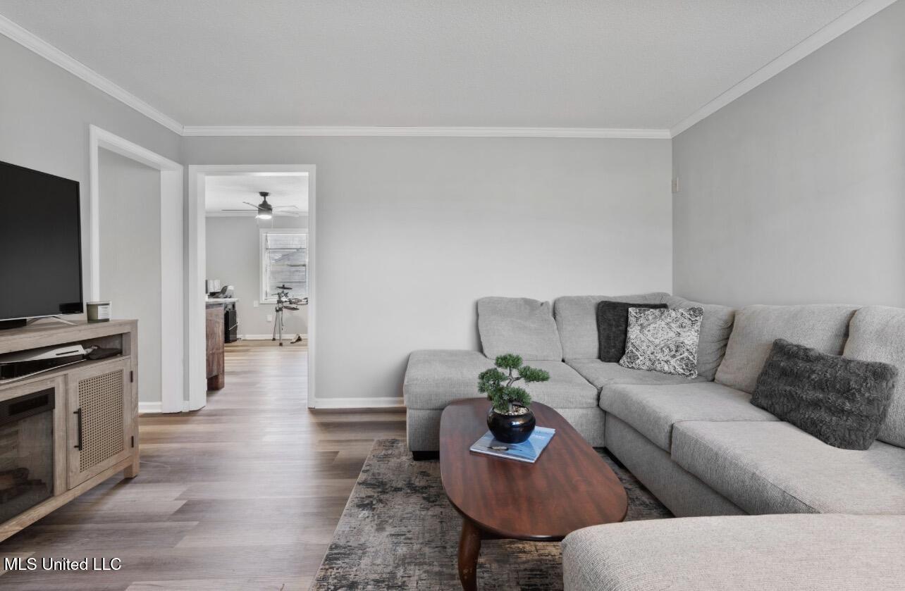 8232 Caprock Cove Southaven, MS 38671 - Photo 6 of 32 IMG_5982