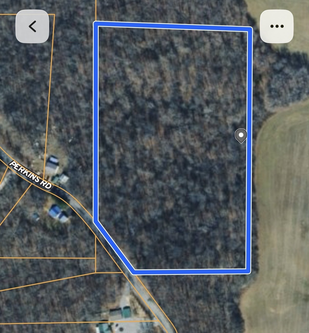 0 Perkins Road Puryear, TN 38251 - Photo 1 of 7 Gallery Image 1