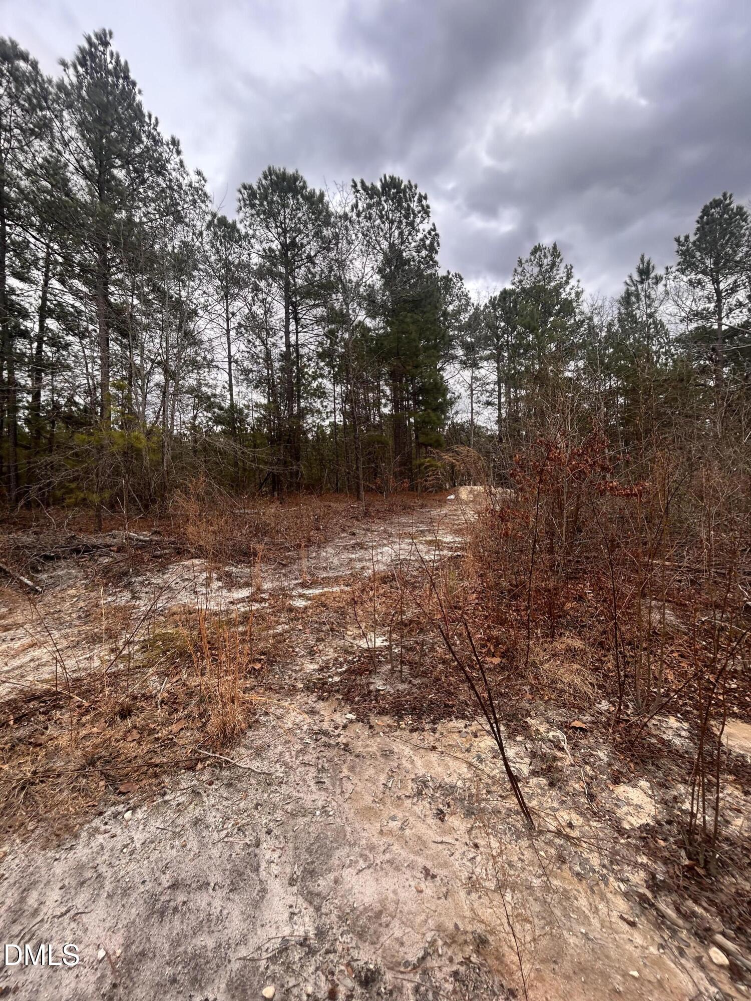 198 Old County Line Road Cameron, NC 28326 - Photo 4 of 4