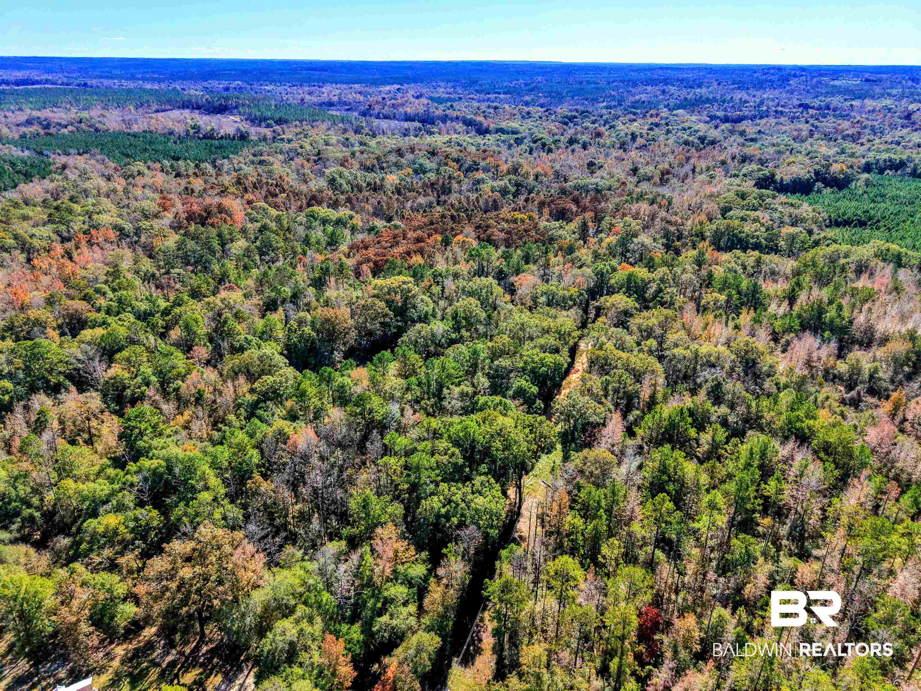 1700 Prospect Road Coffeeville, AL 36524 - Photo 45 of 74