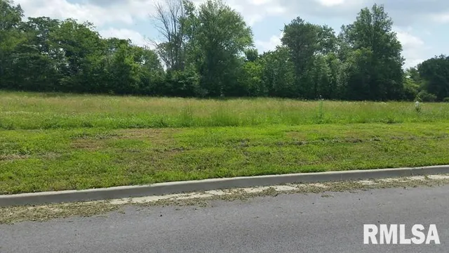 $196,000 | Lot 2 Financial, Carbondale, IL 62901