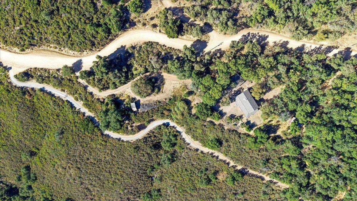 40101 Tassajara Road Carmel Valley, CA 93924 - Photo 11 of 91 a view of a tree in a garden