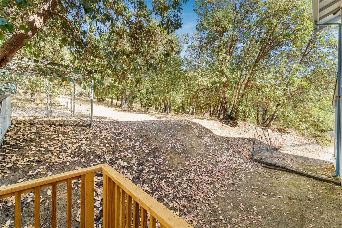 40101 Tassajara Road Carmel Valley, CA 93924 - Photo 77 of 91 a view of a pathway of a yard
