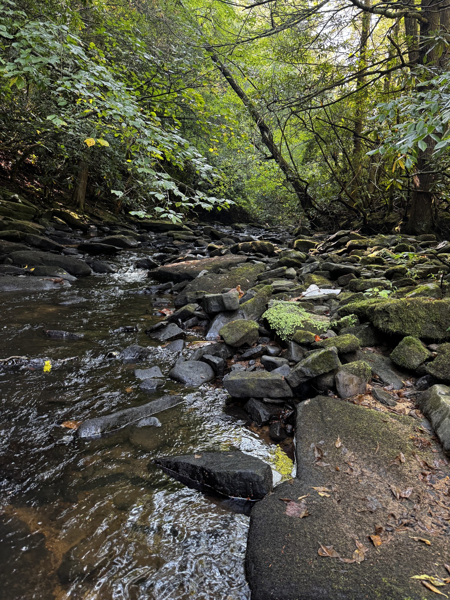 1475 Campground Road Clarkrange, TN 38553 - Photo 30 of 31 Gallery Image 30