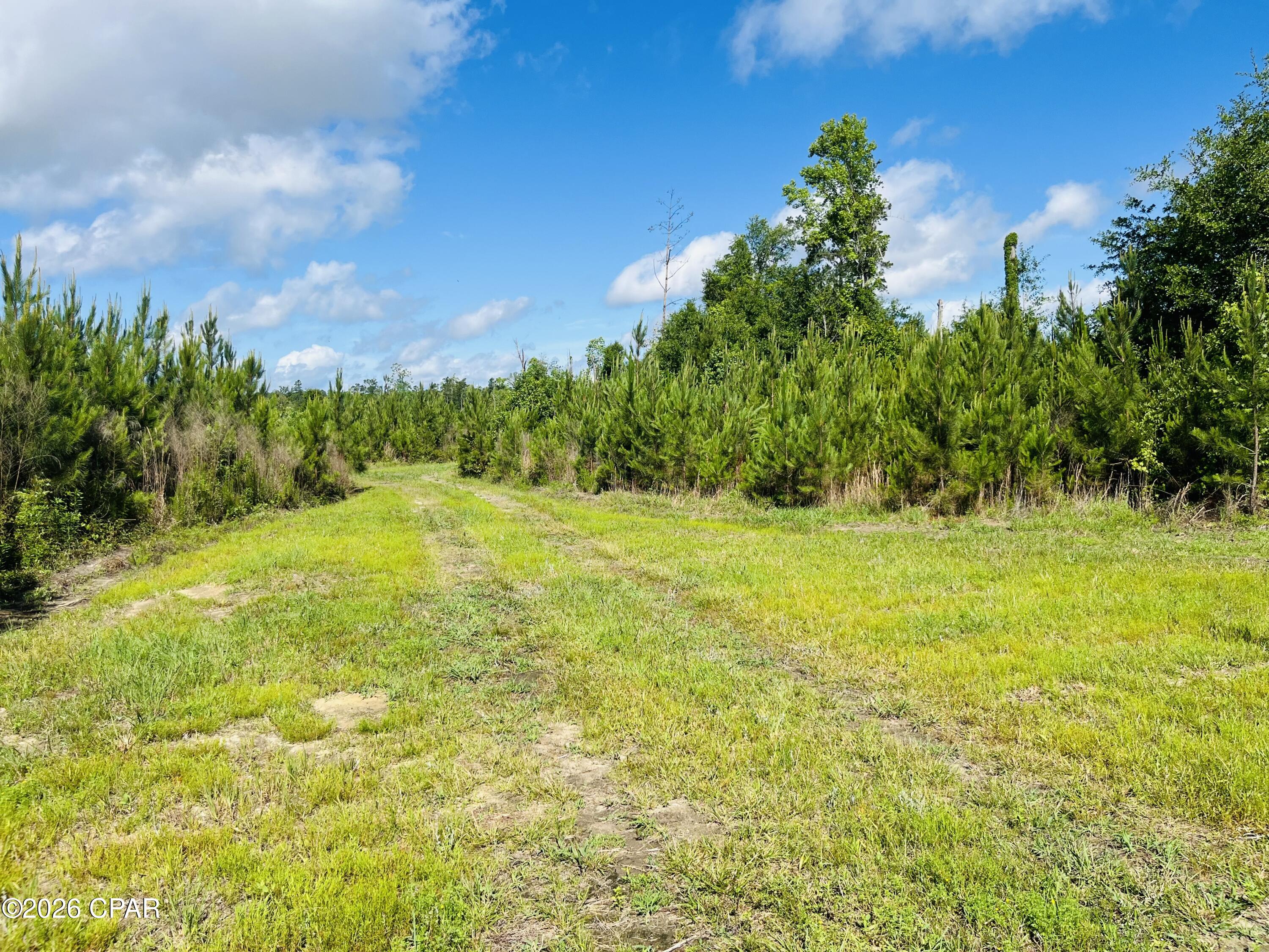 Tbd Sinai Road Sneads, FL 32460 - Photo 17 of 24