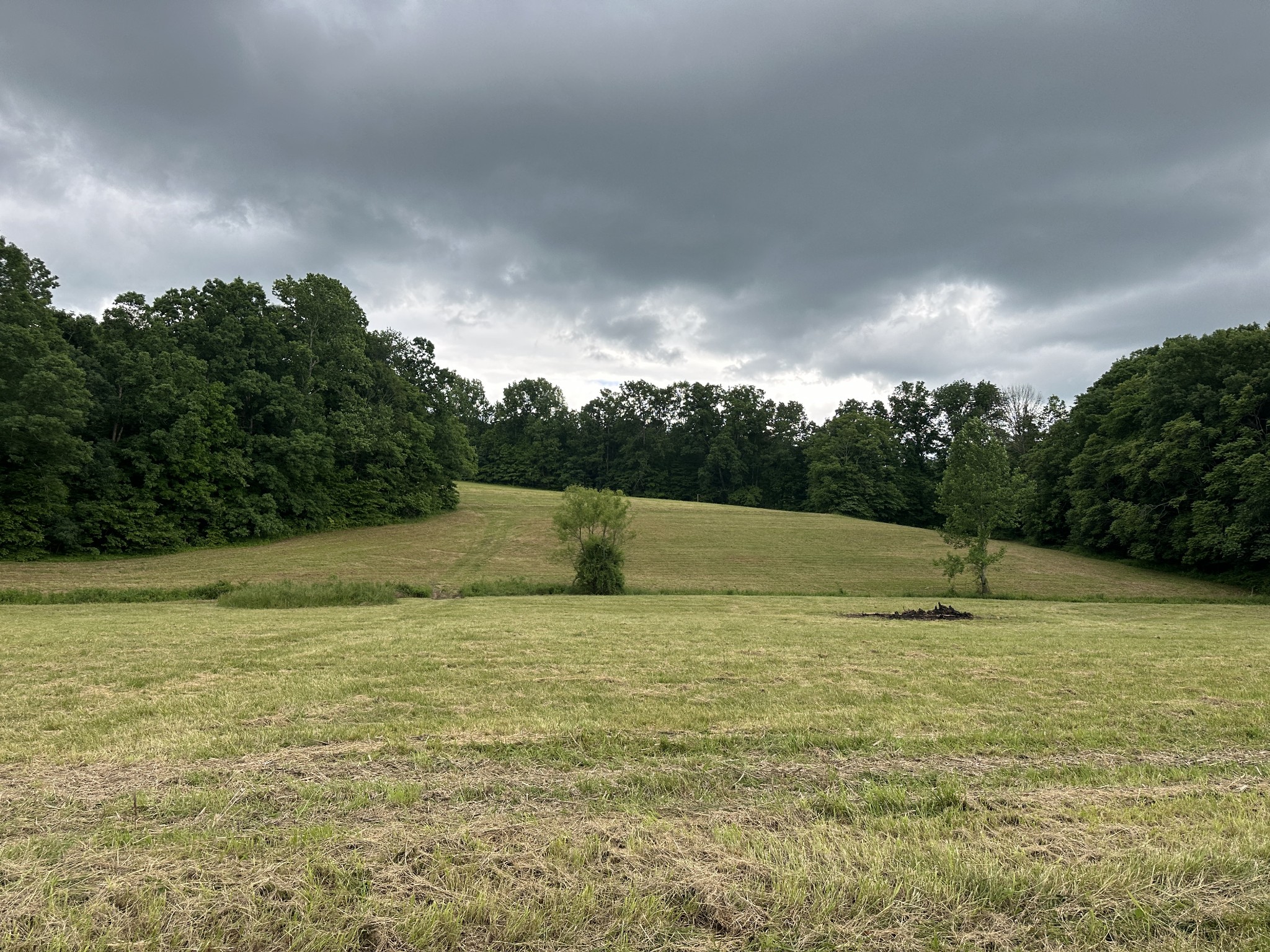 0 Double Branch Road Dickson, TN 37055 - Photo 1 of 11