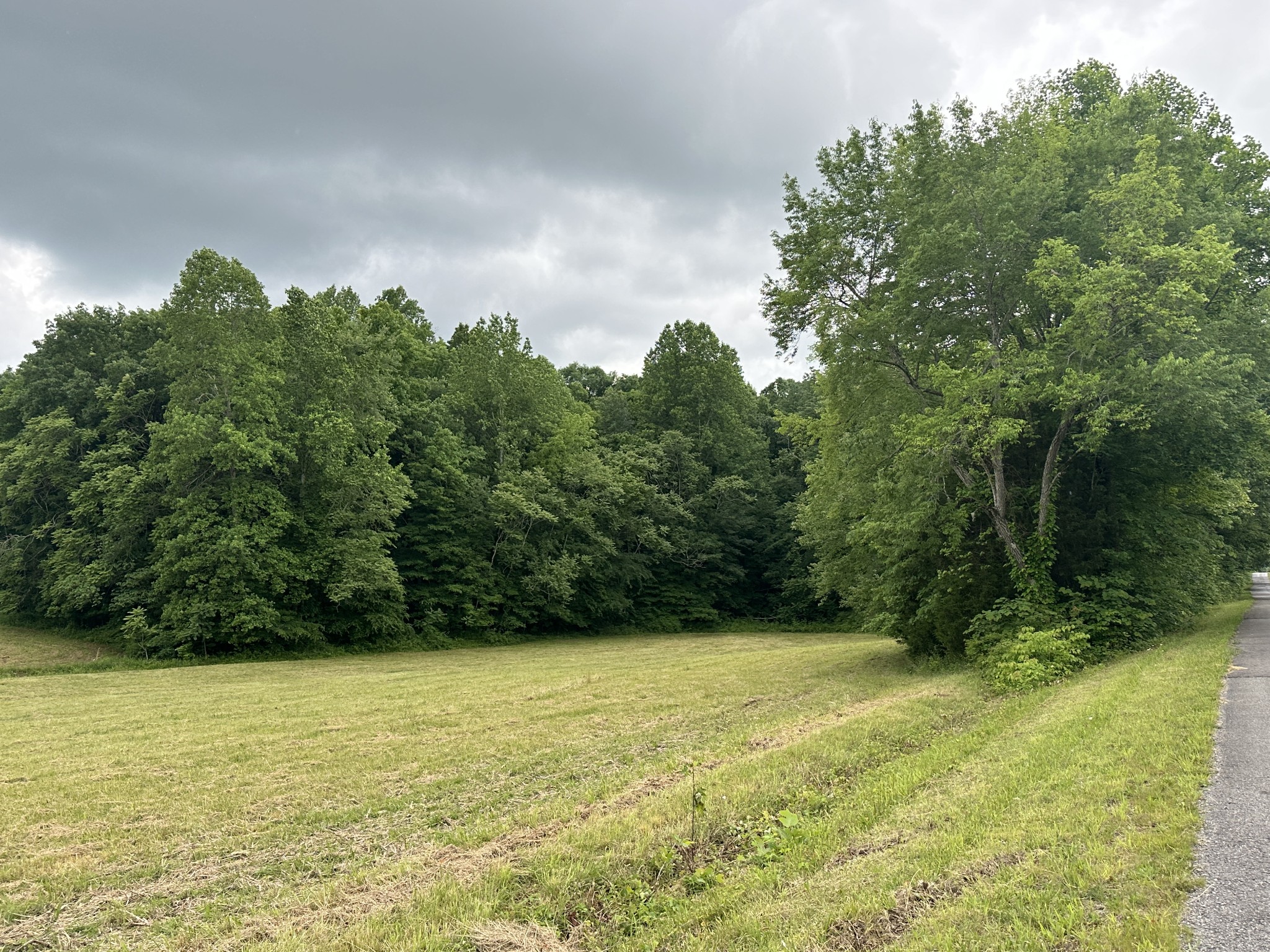 0 Double Branch Road Dickson, TN 37055 - Photo 3 of 11
