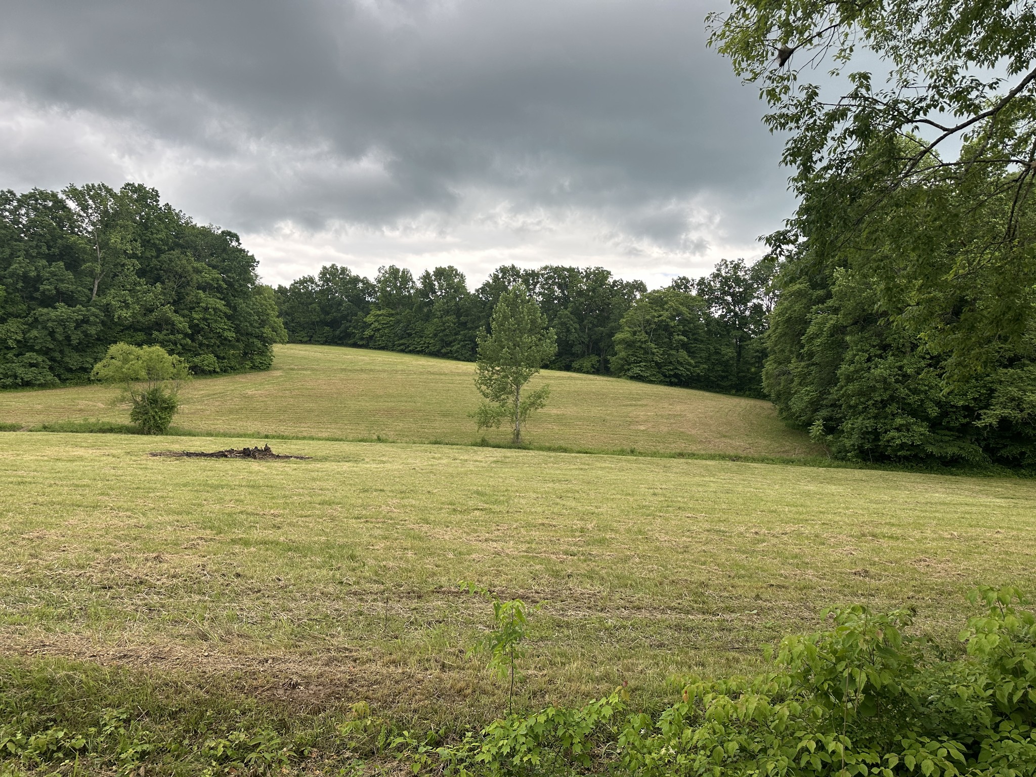 0 Double Branch Road Dickson, TN 37055 - Photo 4 of 11