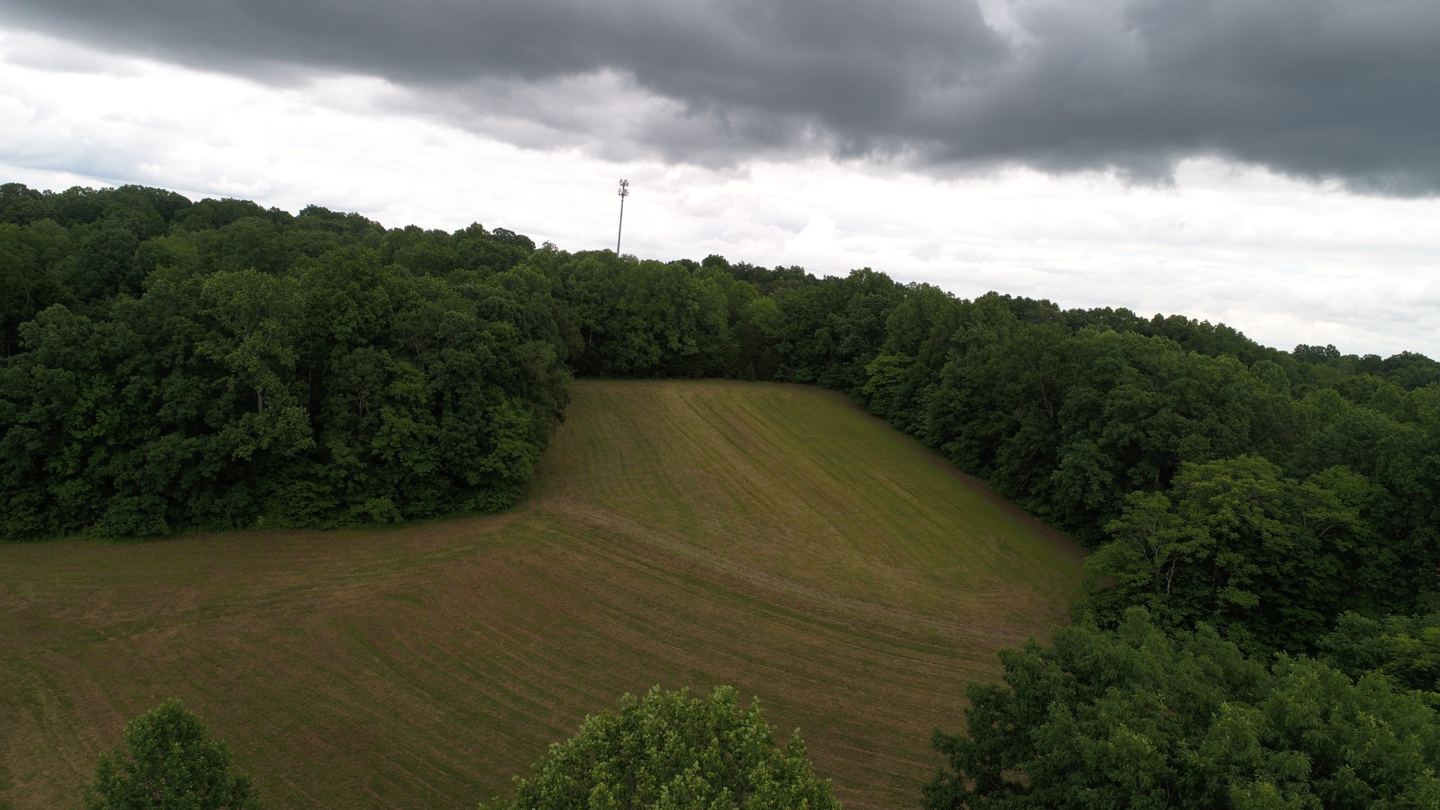 0 Double Branch Road Dickson, TN 37055 - Photo 5 of 11