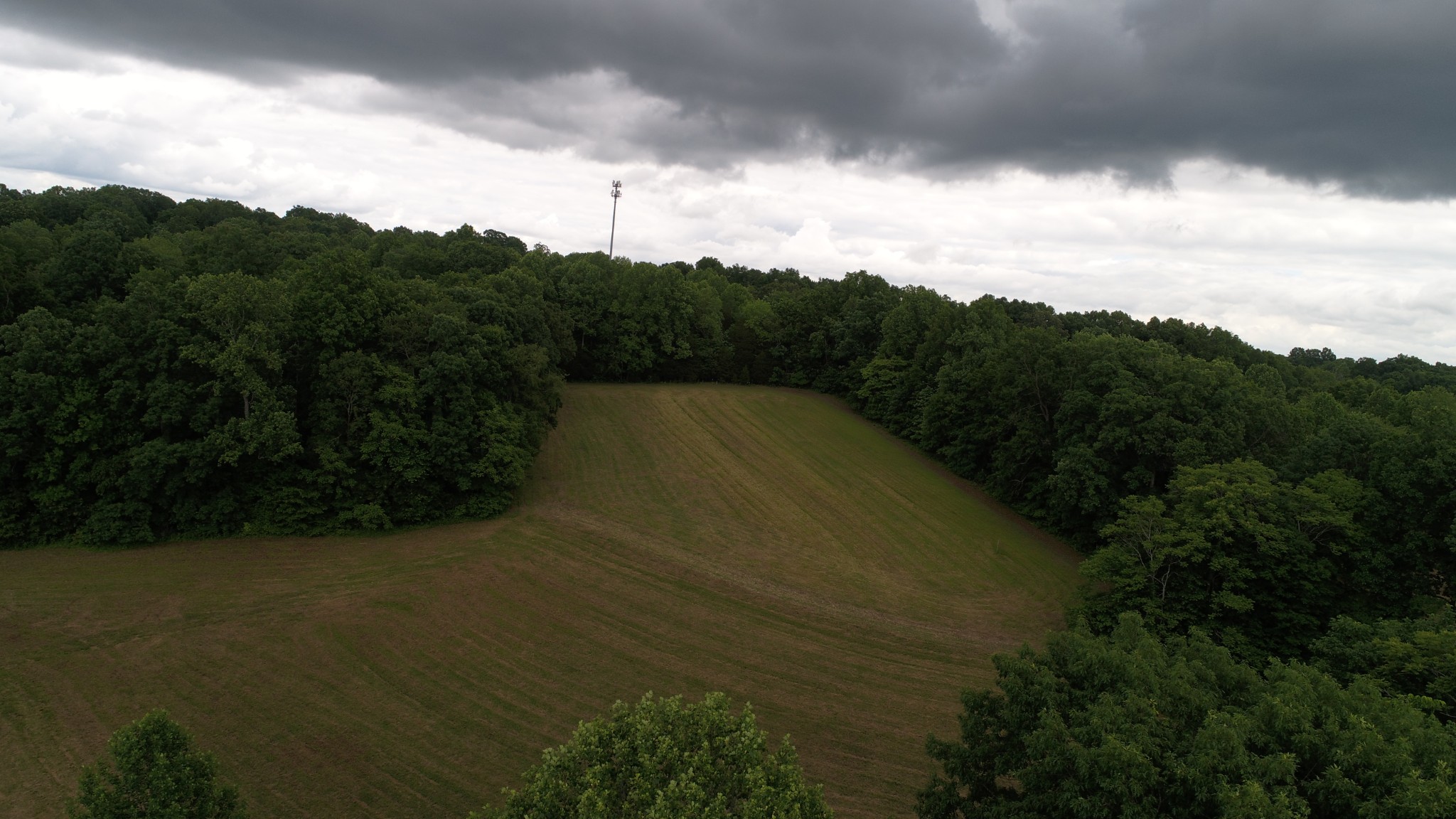 0 Double Branch Road Dickson, TN 37055 - Photo 6 of 11
