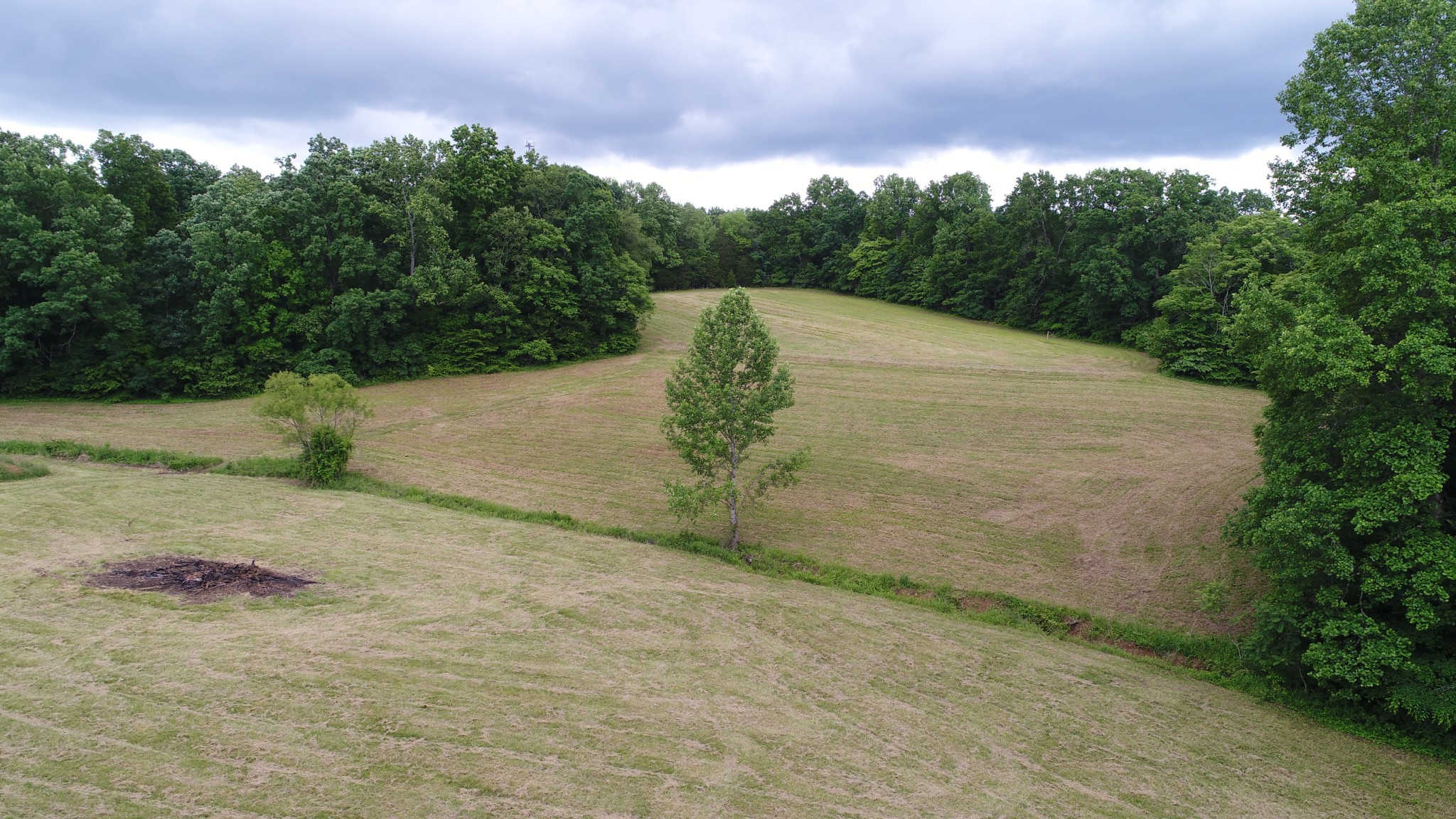 0 Double Branch Road Dickson, TN 37055 - Photo 10 of 11