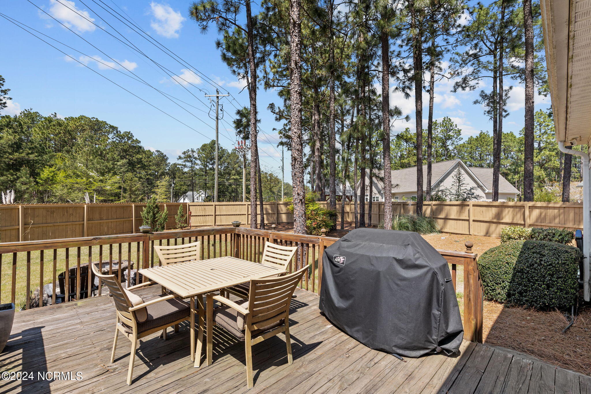 4 Bur Place Pinehurst, NC 28374 - Photo 38 of 39 Backyard