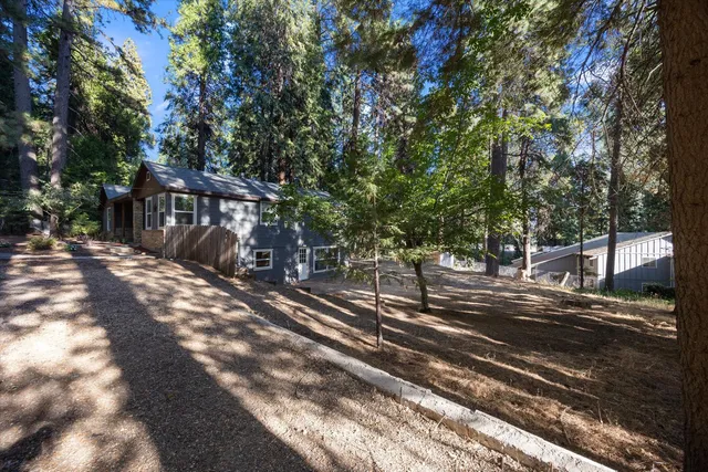a view of a yard with plants and trees
