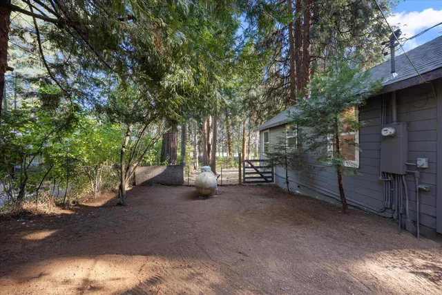 a view of a house with a large tree