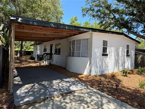 a view of a backyard with large tree