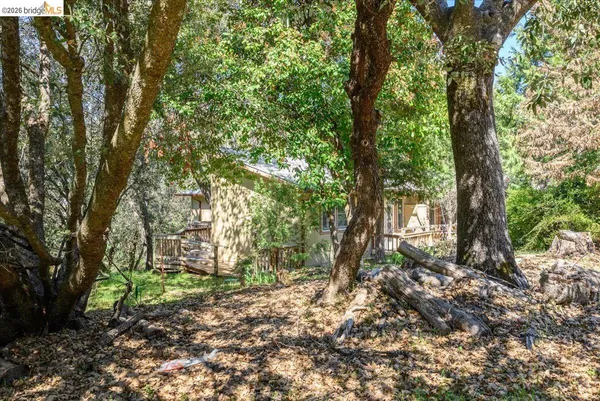 a backyard of a house with lots of green space