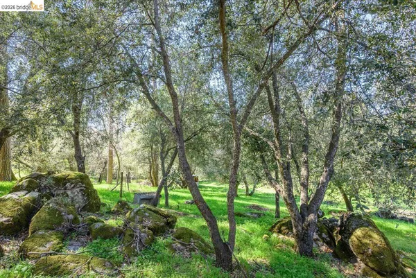 a backyard of a house with lots of trees