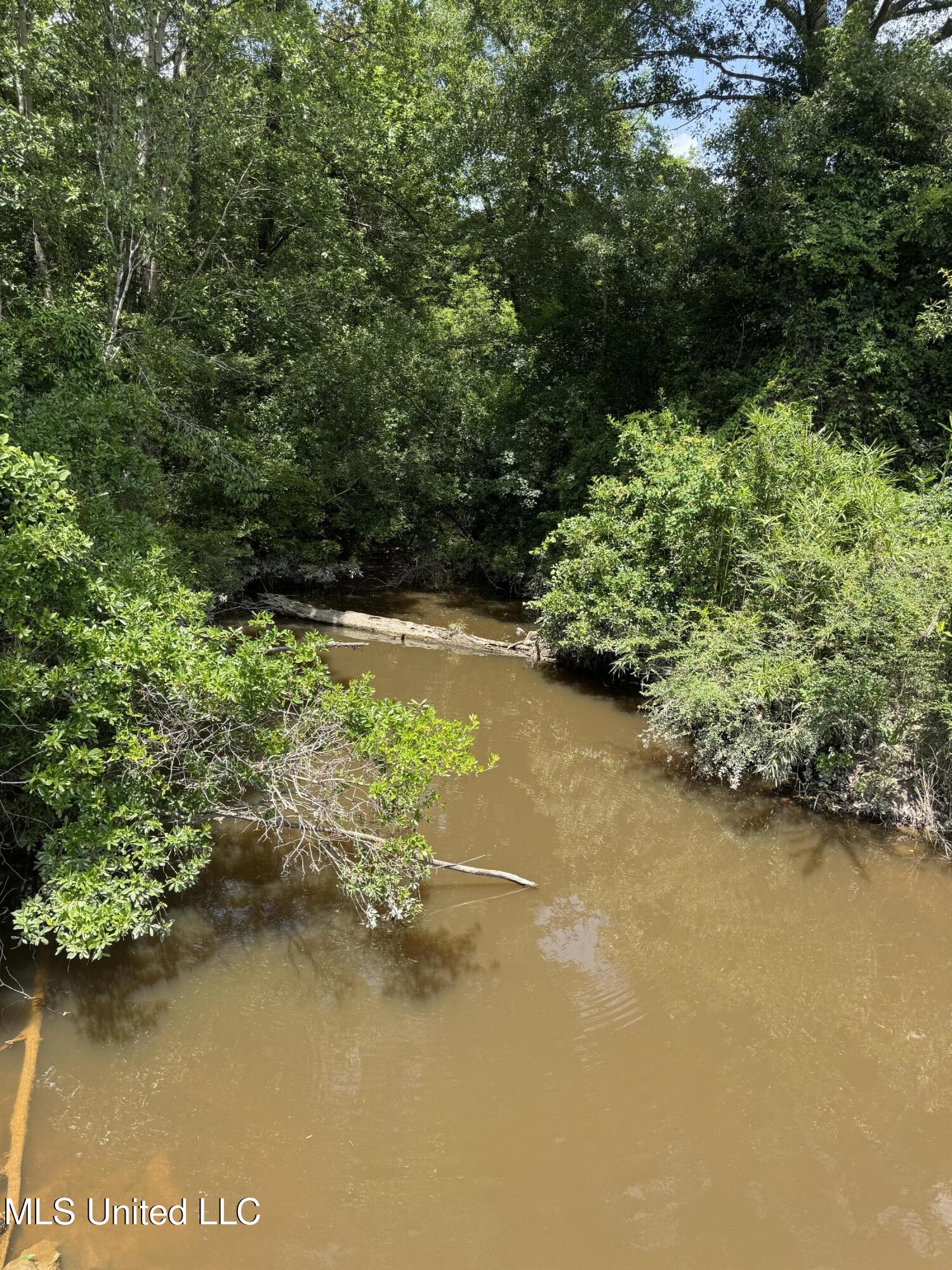 Shenandoah Rd Road Poplarville, MS 39470 - Photo 2 of 7 IMG_8615
