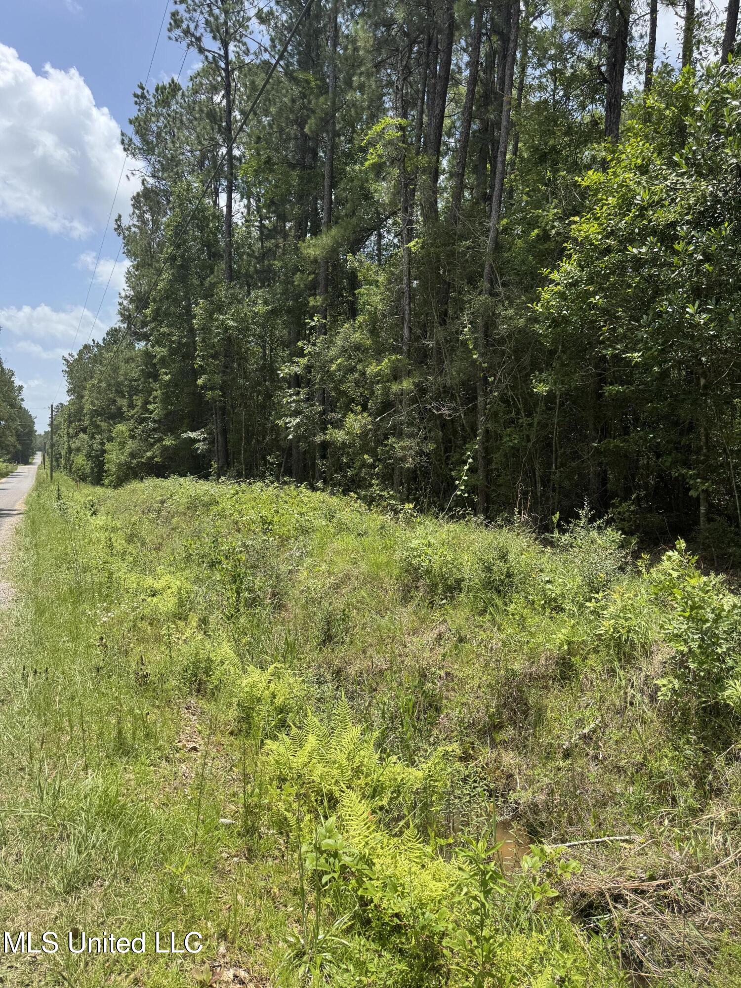 Shenandoah Rd Road Poplarville, MS 39470 - Photo 4 of 7 IMG_8619