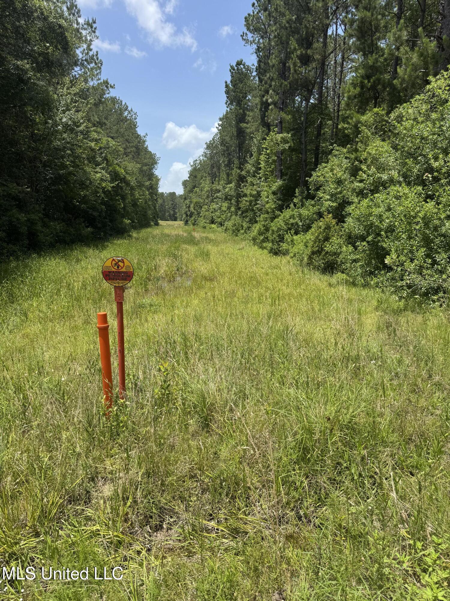 Shenandoah Rd Road Poplarville, MS 39470 - Photo 5 of 7 IMG_8622