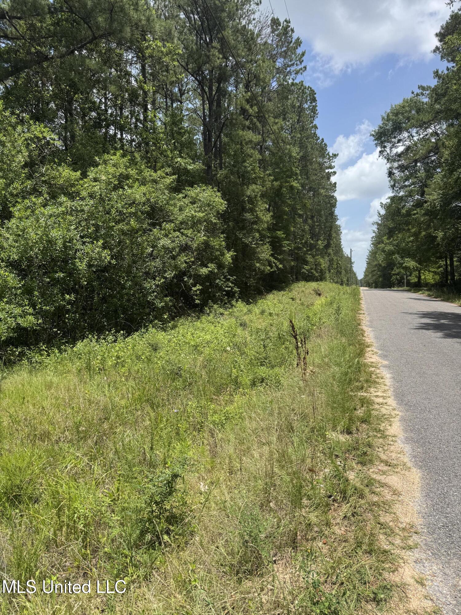 Shenandoah Rd Road Poplarville, MS 39470 - Photo 6 of 7 IMG_8623