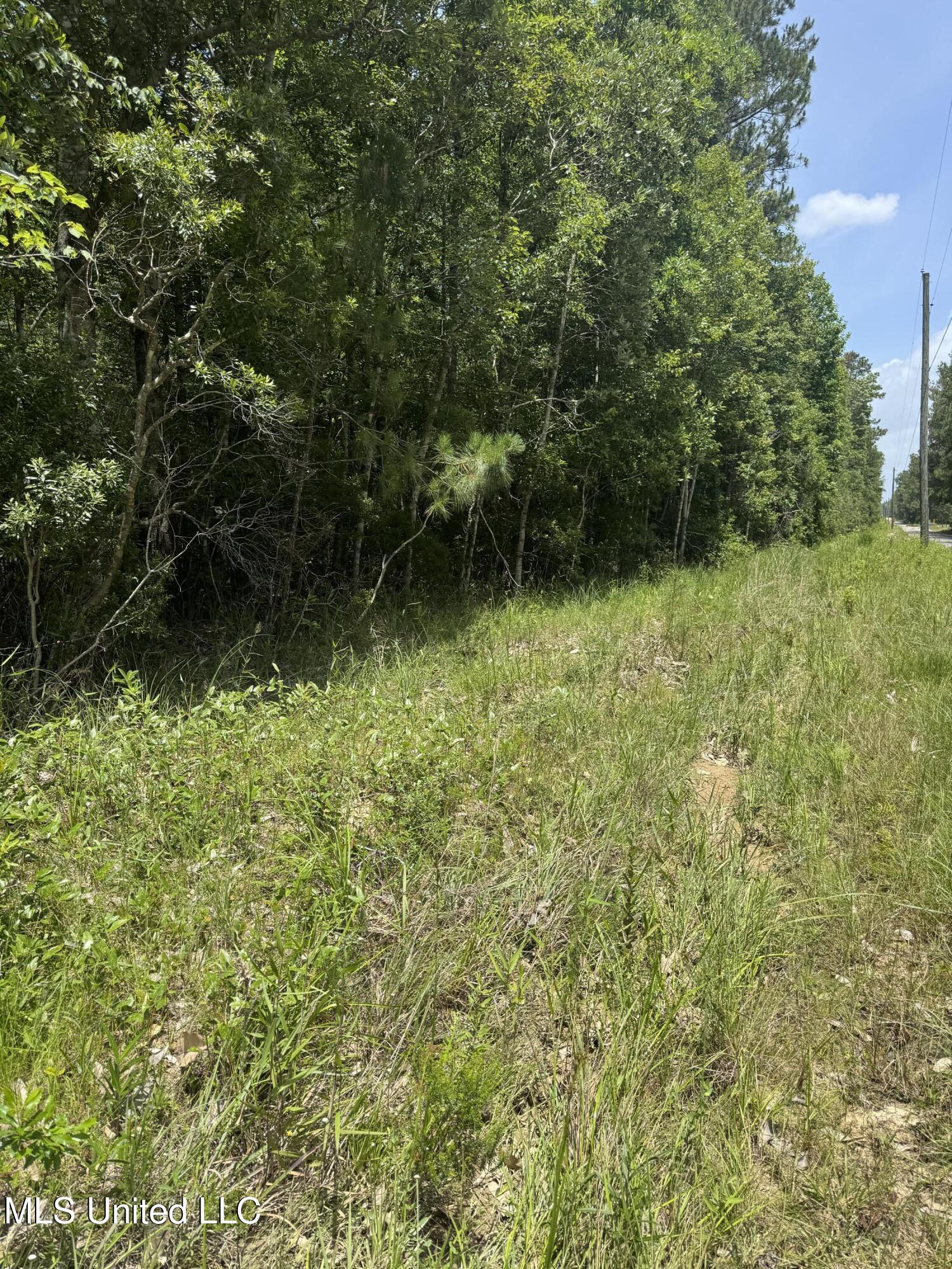 Shenandoah Rd Road Poplarville, MS 39470 - Photo 7 of 7 IMG_8611