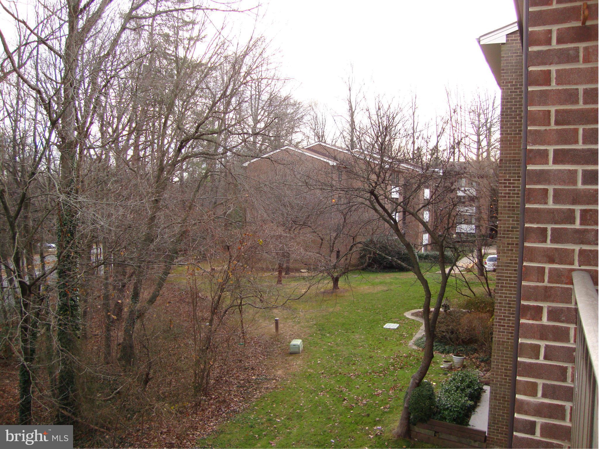 1429 Northgate Square, Unit 21C Reston, VA 20190 - Photo 13 of 14 Treed View