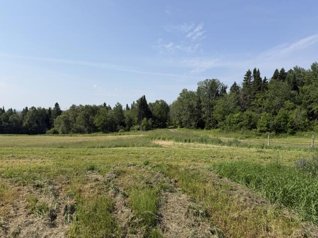 168 B Bouchard Road St. Agatha, ME 04772 - Photo 116 of 134 168 Bouchard Rd