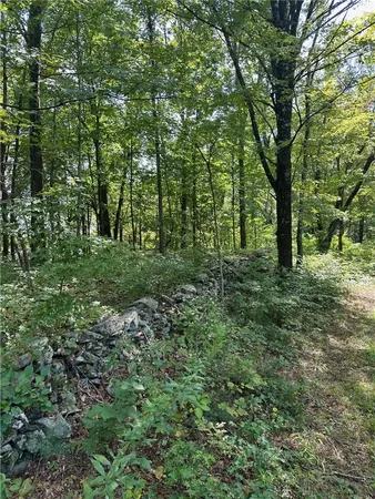 $135,000 | East Fallkill Road, Red Hook, NY 12571