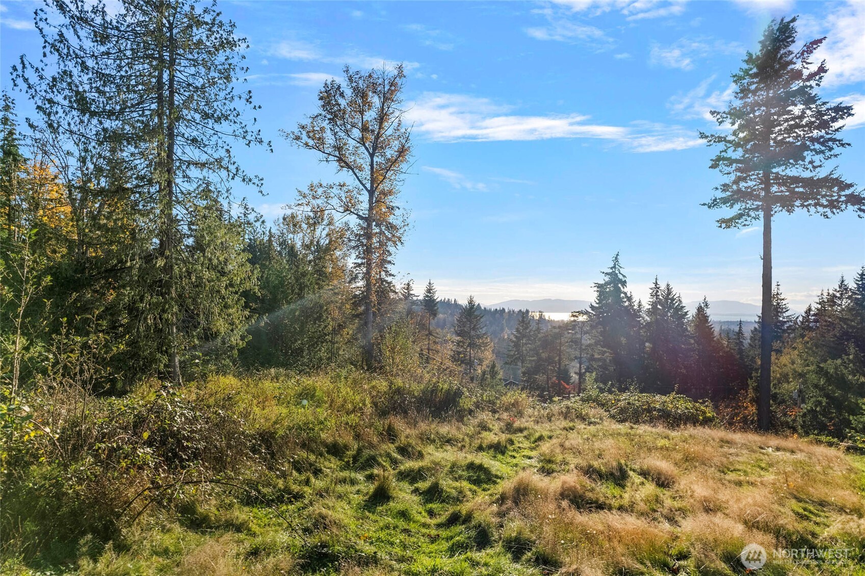 4121 Malachite Road Bellingham, WA 98226 - Photo 3 of 21 a view of a yard of the house