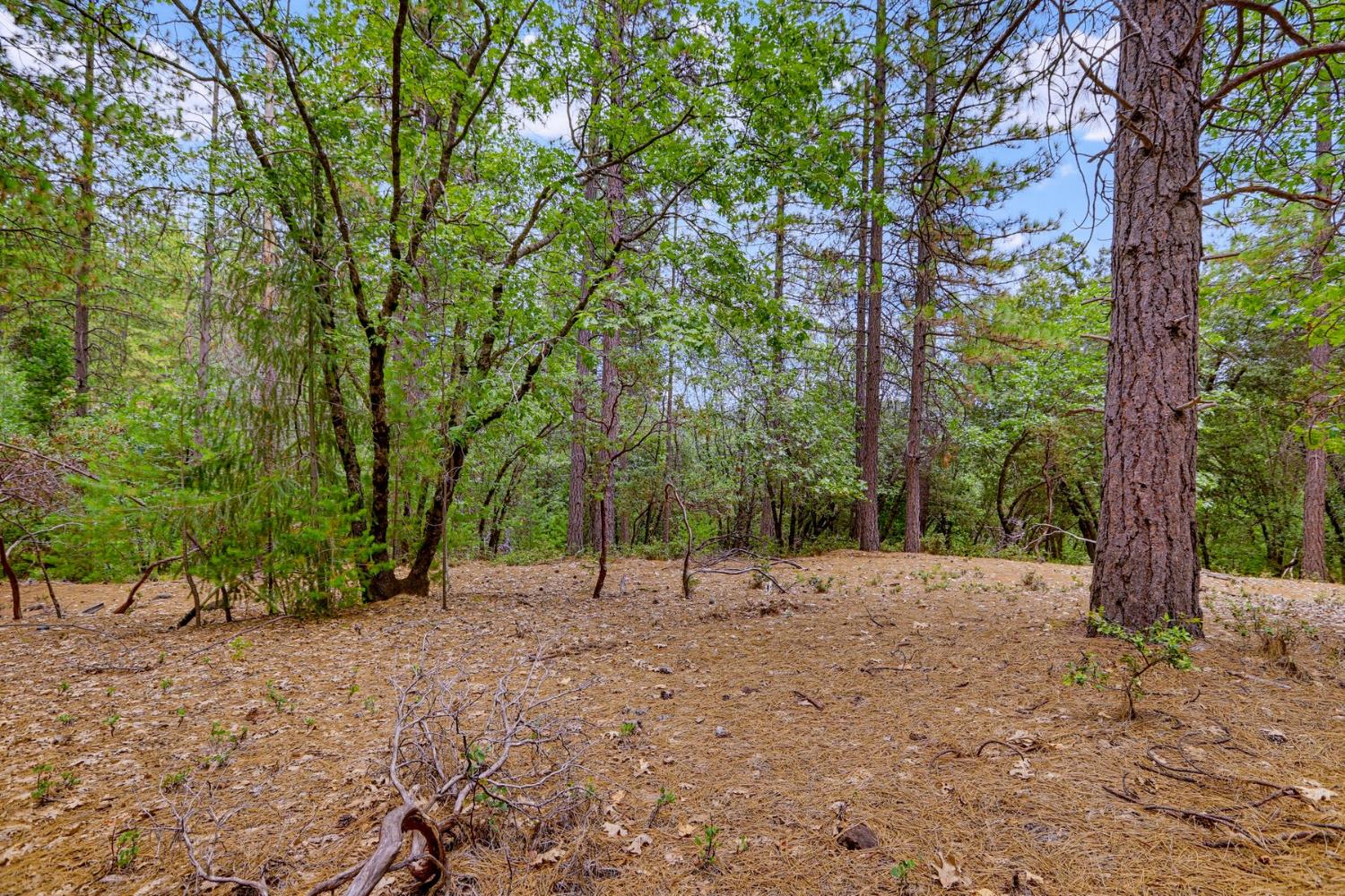 16020 Brooks Road Grass Valley, CA 95945 - Photo 11 of 12