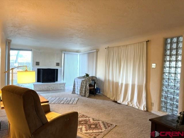 870 North Dolores Road Cortez, CO 81321 - Photo 13 of 34