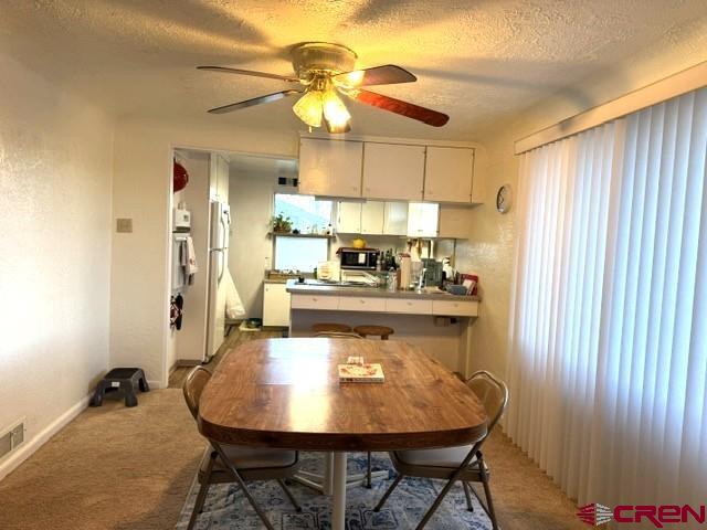 870 North Dolores Road Cortez, CO 81321 - Photo 16 of 34