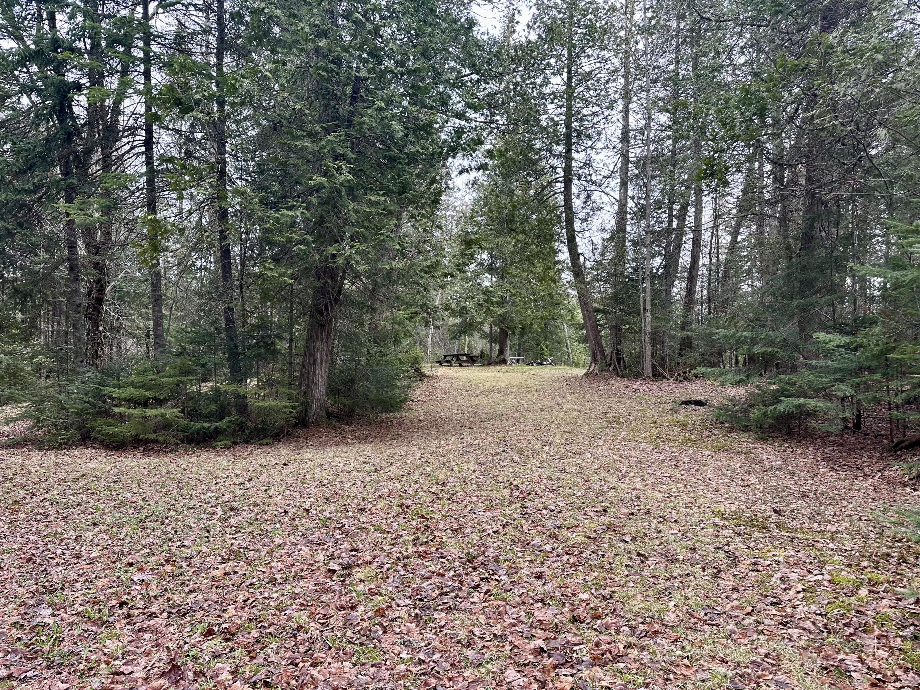 2318 Toe Of The Boot Road Rockwood, ME 04478 - Photo 6 of 19 IMG_4517