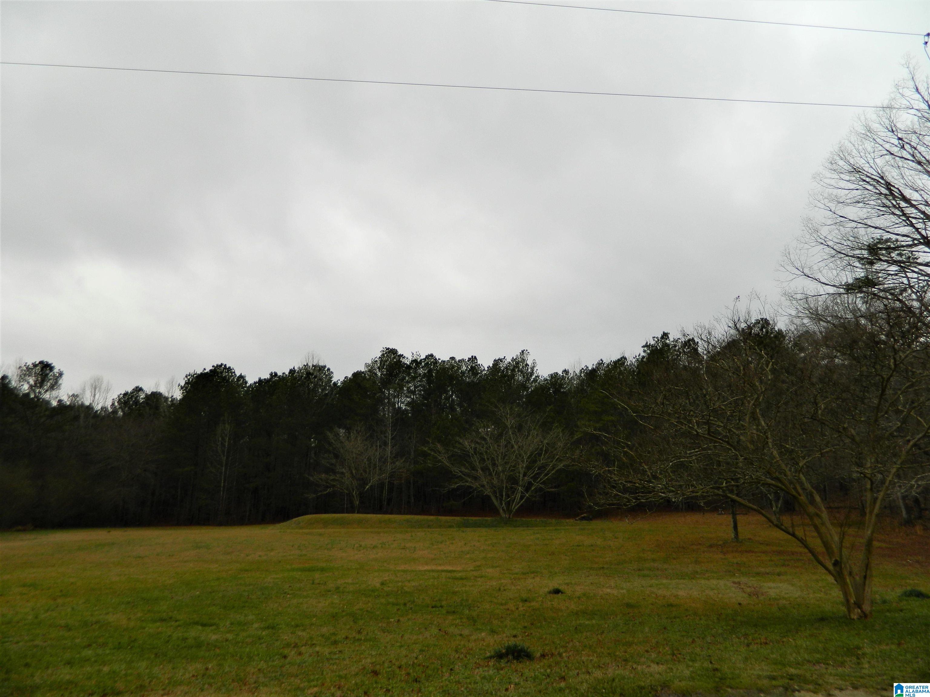 97 Cobb Road Piedmont, AL 36272 - Photo 3 of 32 Gallery Image 3