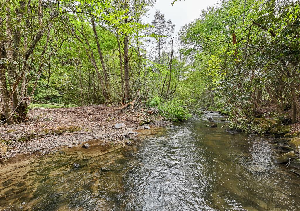 795 Porter Field Gap Road Robbinsville, NC 28771 - Photo 98 of 105