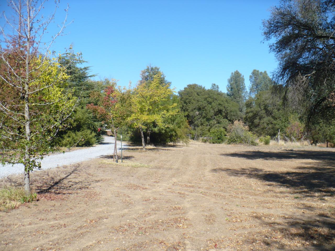 21334 Dersch Road Anderson, CA 96007 - Photo 21 of 24 a view of a yard with a tree