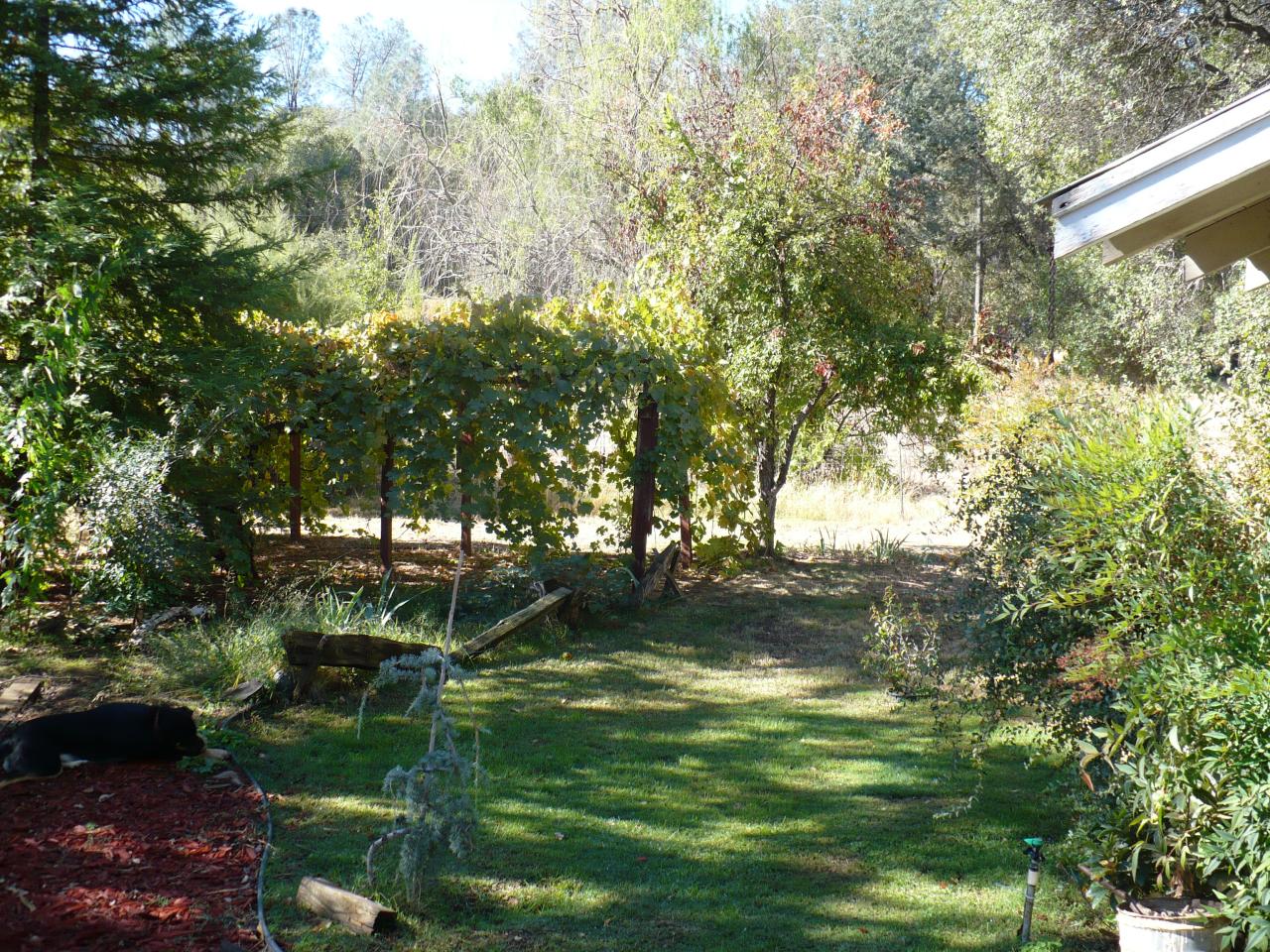 21334 Dersch Road Anderson, CA 96007 - Photo 22 of 24 a backyard of a house with lots of green space
