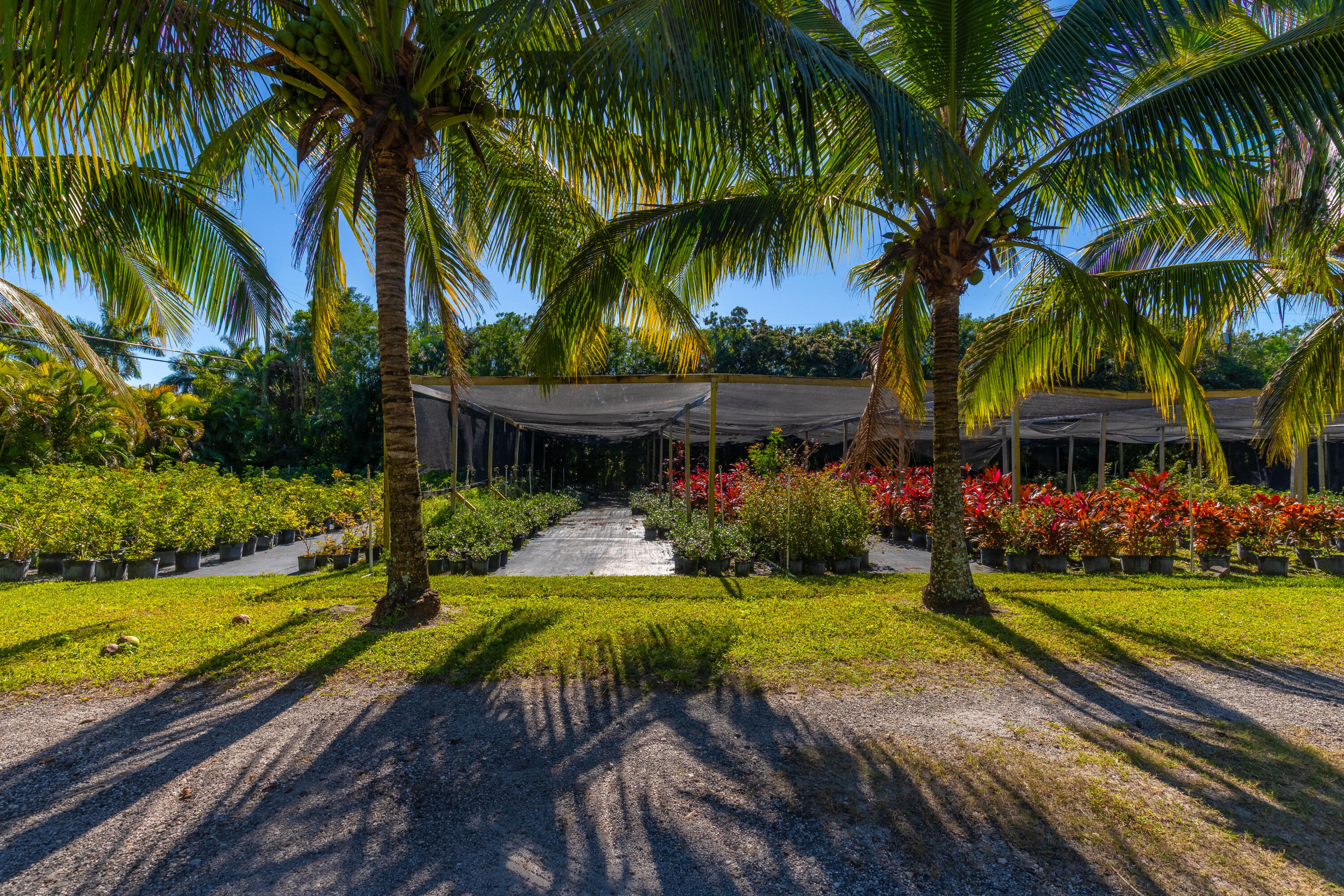 2943 B Road Loxahatchee Groves, FL 33470 - Photo 67 of 88 10 acres