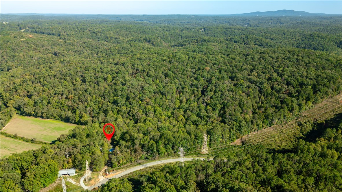 527 North River Road Cleveland, SC 29635 - Photo 35 of 40